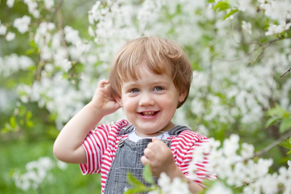 Áprilisi hírlevél